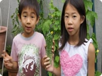 悢n
