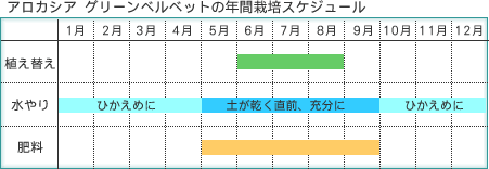 AJVA@O[xxbg
̔Nԍ͔|XPW[