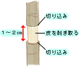 ɗtts1悤ɁA1`2cmԊu2{̐؂荞݂A𔍂܂B