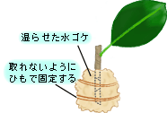 ؂点~YSPŕ݁AփSŎ~߂܂B