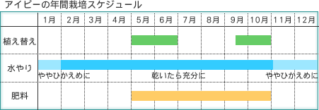 ACr[̔Nԍ͔|XPW[