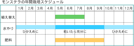 Xe
̔Nԍ͔|XPW[