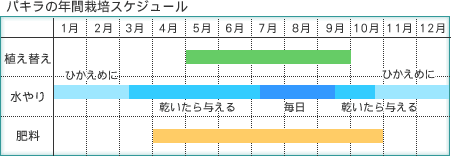 pL̔Nԍ͔|XPW[