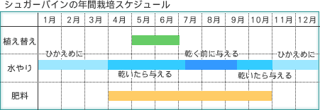 VK[oC̔Nԍ͔|XPW[