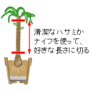 DȒɐ؂o܂B