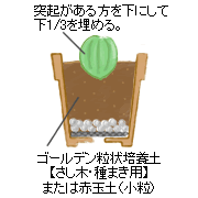 �S�[���f������|�{�y�y�����؁E��܂��p�z�܂��͐ԋʓy�i�����j�ɁA�ۂ��ˋN������������ɂ��āA�}����1/3�܂œy�ɖ��߂܂��B