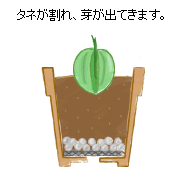 ����ɂ́A���x�A�����ƂƂ��ɓ������K�v�Ȃ̂ŁA�ł��邾�����ɓ��Ă�悤�ɂ��܂��B