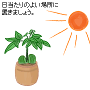 20�`25���̏ꍇ�A2�T�ԁ`1�����Ŕ��肵�܂��B