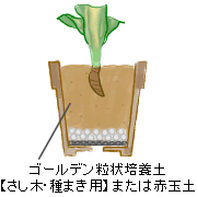 }́AS[f|{yy؁E܂pz܂͐ԋʓyijɑ}A邢AŊǗ܂B؂Ȃ悤ɒӂ܂傤B