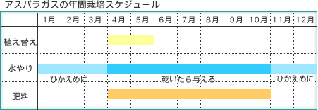 AXpKX̔Nԍ͔|XPW[