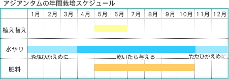 AWA^
̔Nԍ͔|XPW[