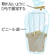 ŜɃrj[܂킹āA肪o܂œAŊǗ܂B
y琅^āAV肪ô҂܂B