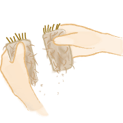 ؂荞݂łQ`Rɕ܂B