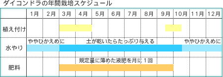 _CRh̔Nԍ͔|XPW[
