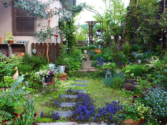 可憐な花々と「野原」のような庭を目指して