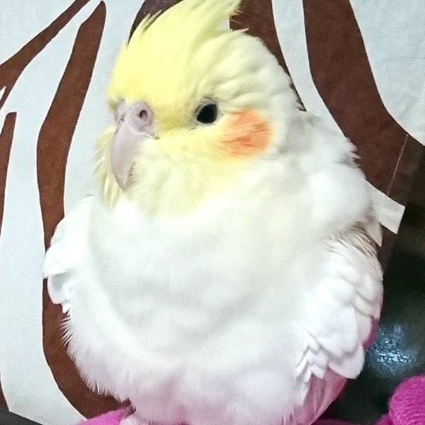 namiさん