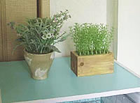 ���j�^�[���|�[�g