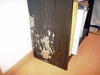 ���j�^�[���|�[�g