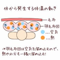 体から発生する体温の動き