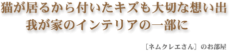 L邩tLY؂ȑzo䂪Ƃ̃CeÄꕔ