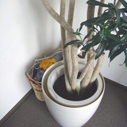 室内の死角にこっそり備えておくのもいい