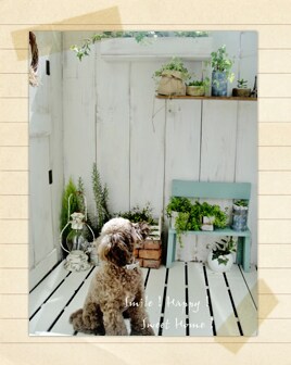 uO@@Smile ! Happy ! Sweet Home !