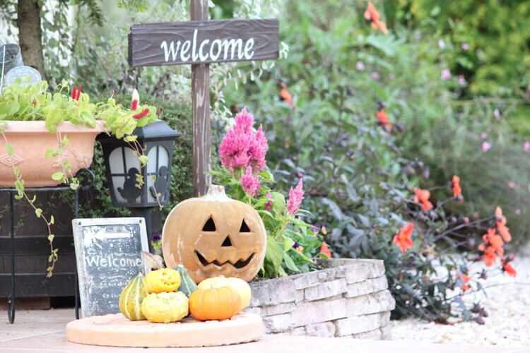 Happy Halloween