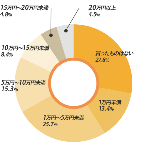 一人暮らしを始めた後に費やす家電用品金額