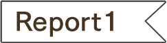 Report1