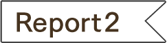 Report2