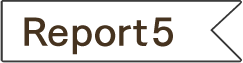Report5