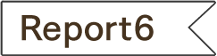 Report6