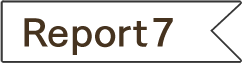Report7