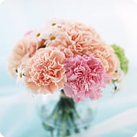 一種類で豪華に飾る