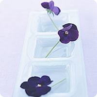花をアート風に飾る