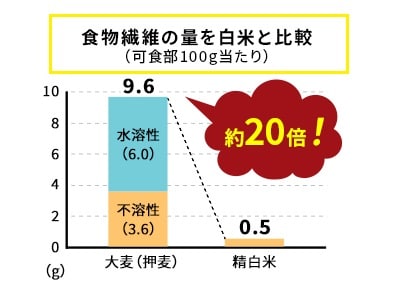 水溶性もち麦は食物繊維が豊富
