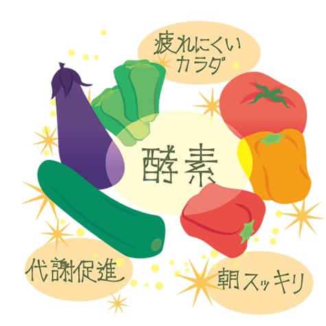 夏の朝ごはんは特に酵素が大事!