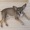 モニターさんプロフィール画像