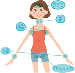 すべての場所を急激に冷やし、涼しい場所で脚を高くして寝かせ、水分を与えましょう。
