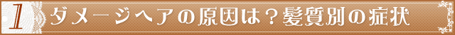 1._[WwǍ́Hʂ̏Ǐ