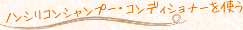 mVRVv[ERfBVi[g