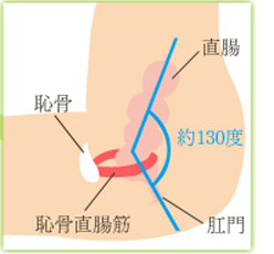 洋式トイレの姿勢