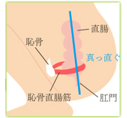 和式トイレの姿勢