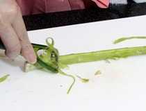 菇PO