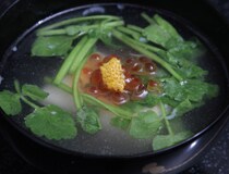 菇PO
