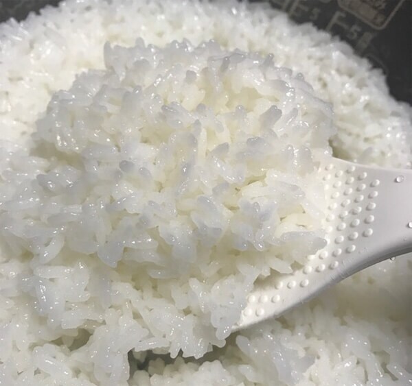 モニター画像