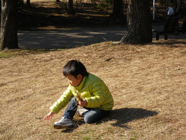 �����͂����邫������