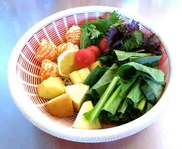 菇1