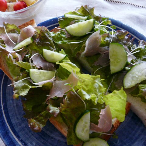 ���n�����X�v���E�g�̃T���_�g�[�X�g