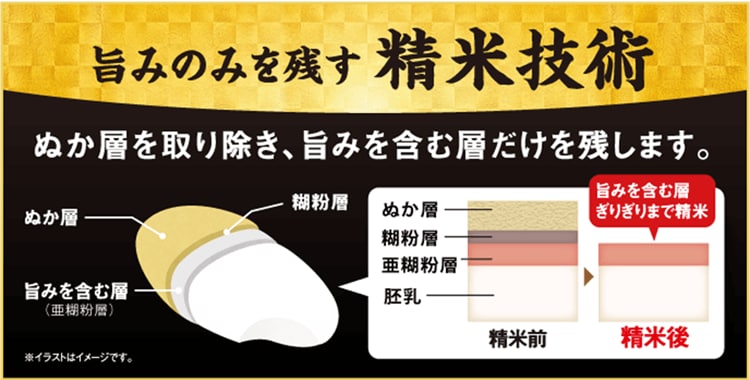 旨みのみを残す精米技術